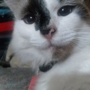 Meet your Posher, Mark